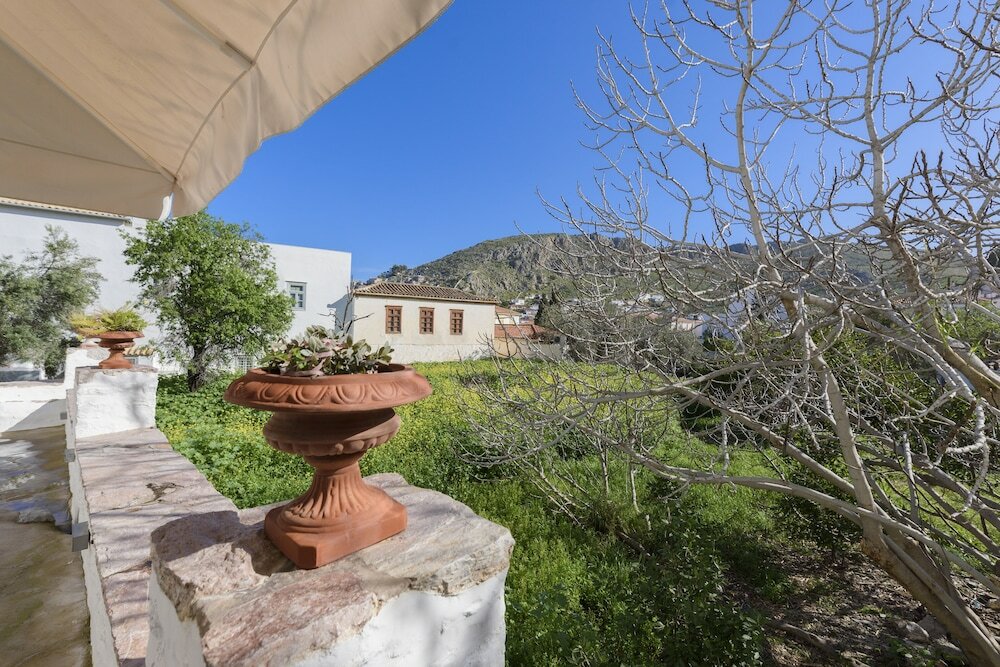 Фото Cotommatae Hydra 1810