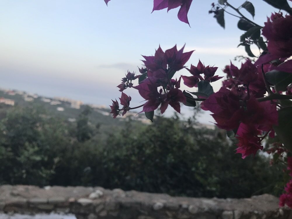 Фото Koutsounari Traditional Cottages