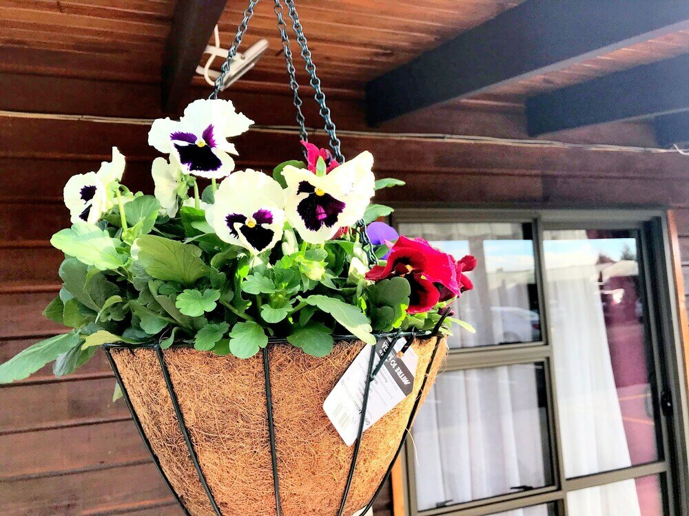 Фото Grange Motel