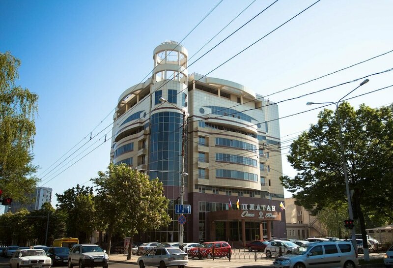 Платан Южный — фото 29