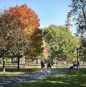 Гостиница Graduate New Haven