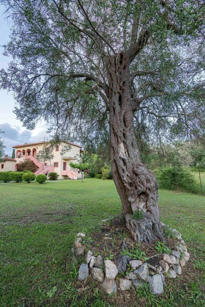 Фото Green Corner Villas