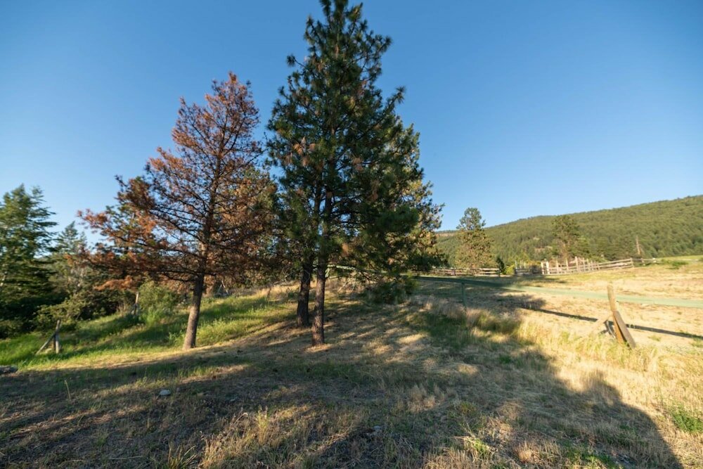 Фото Misty Mountain B&b