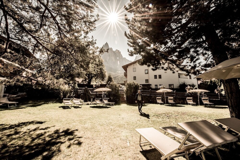 Фото Enzian Genziana