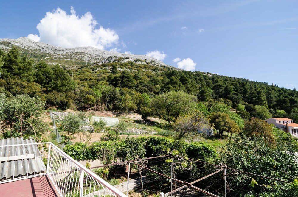 Фото Apartments Šestanović