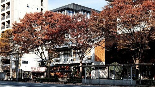 Гостиница Four Points Flex by Sheraton Kyoto Oike в Киото