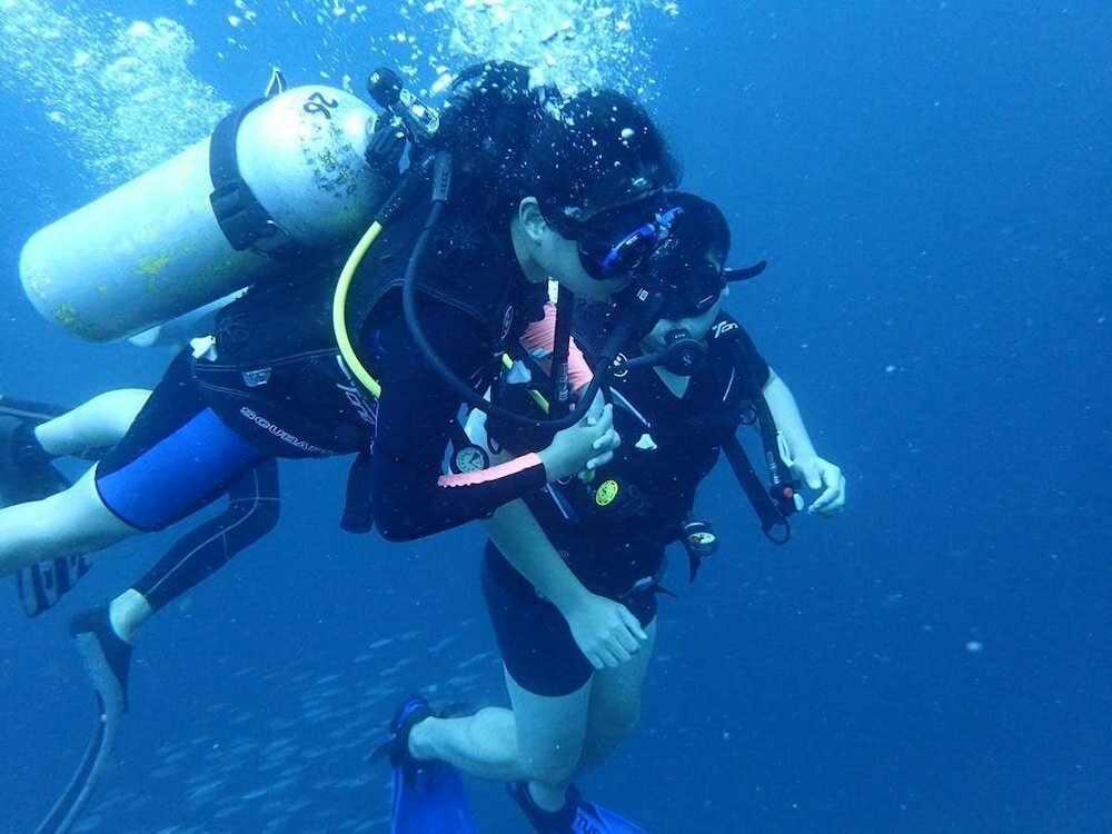 Фото Yellow Duckling Hostel