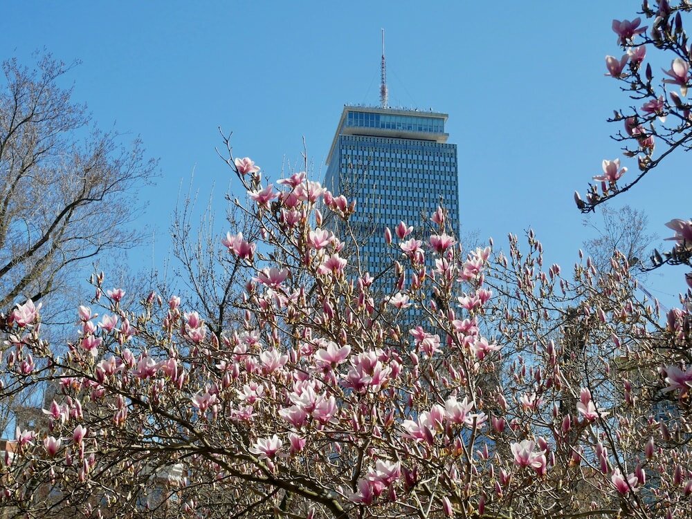 Фото Relaxing One Bedroom Suite
