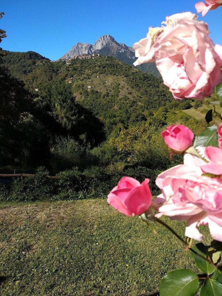 Фото Agriturismo Summer