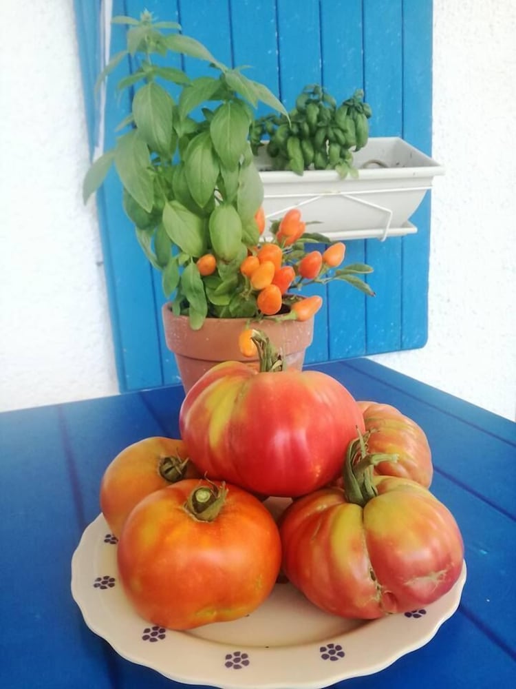 Фото B&b La Marianna