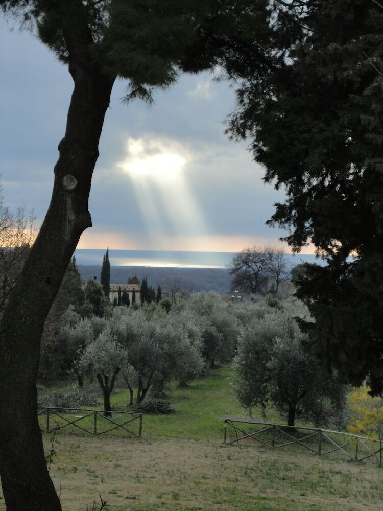 Фото Agriturismo Fattoria La Prugnola