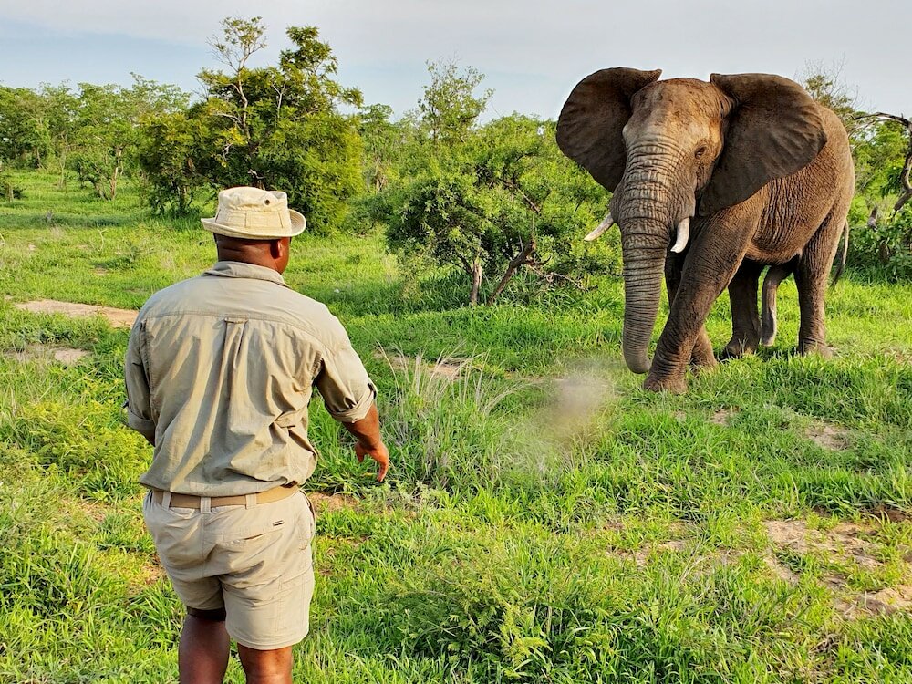 Фото Distinctly Africa - Manyeleti