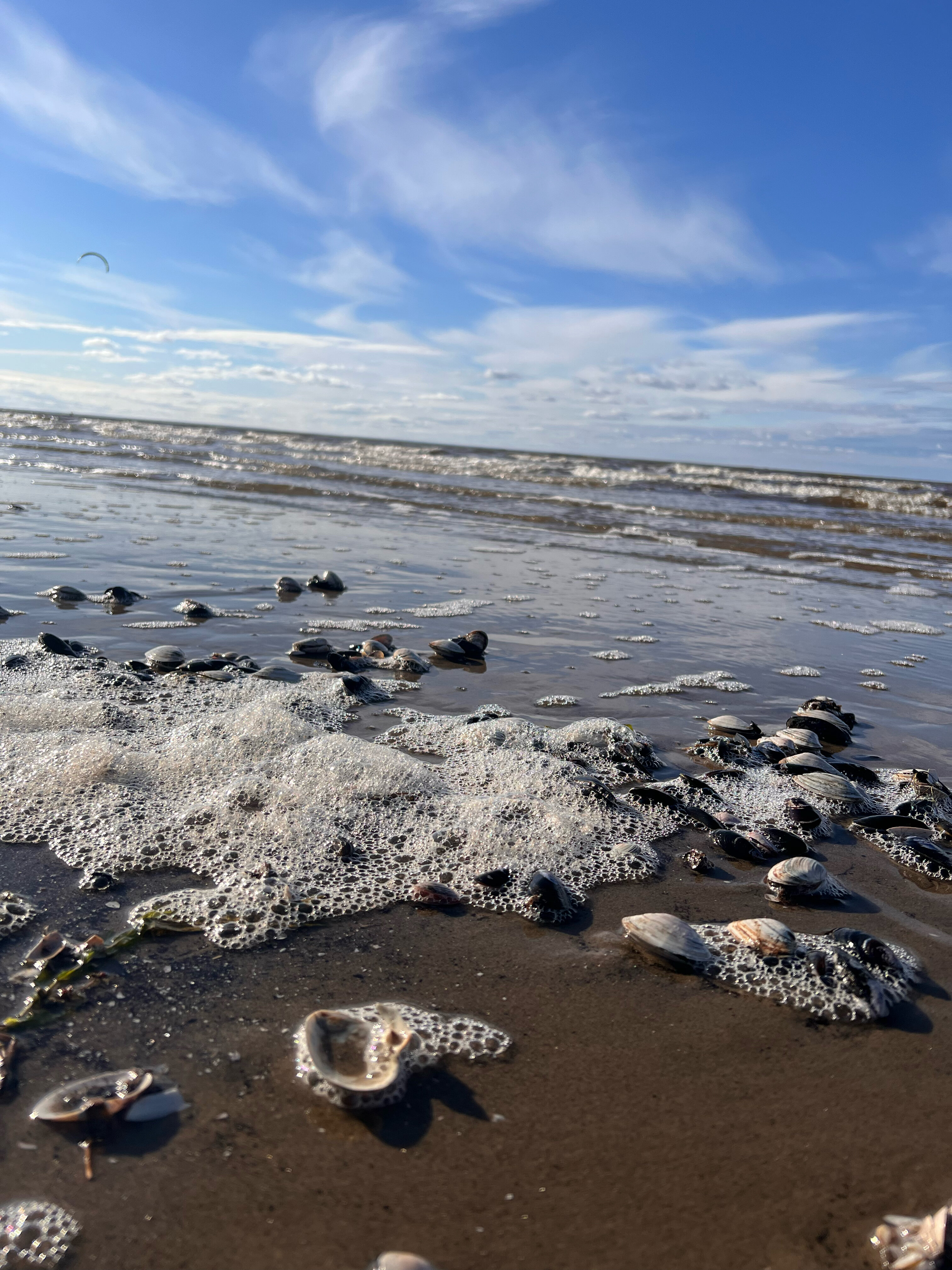 Фото Эрмитаж