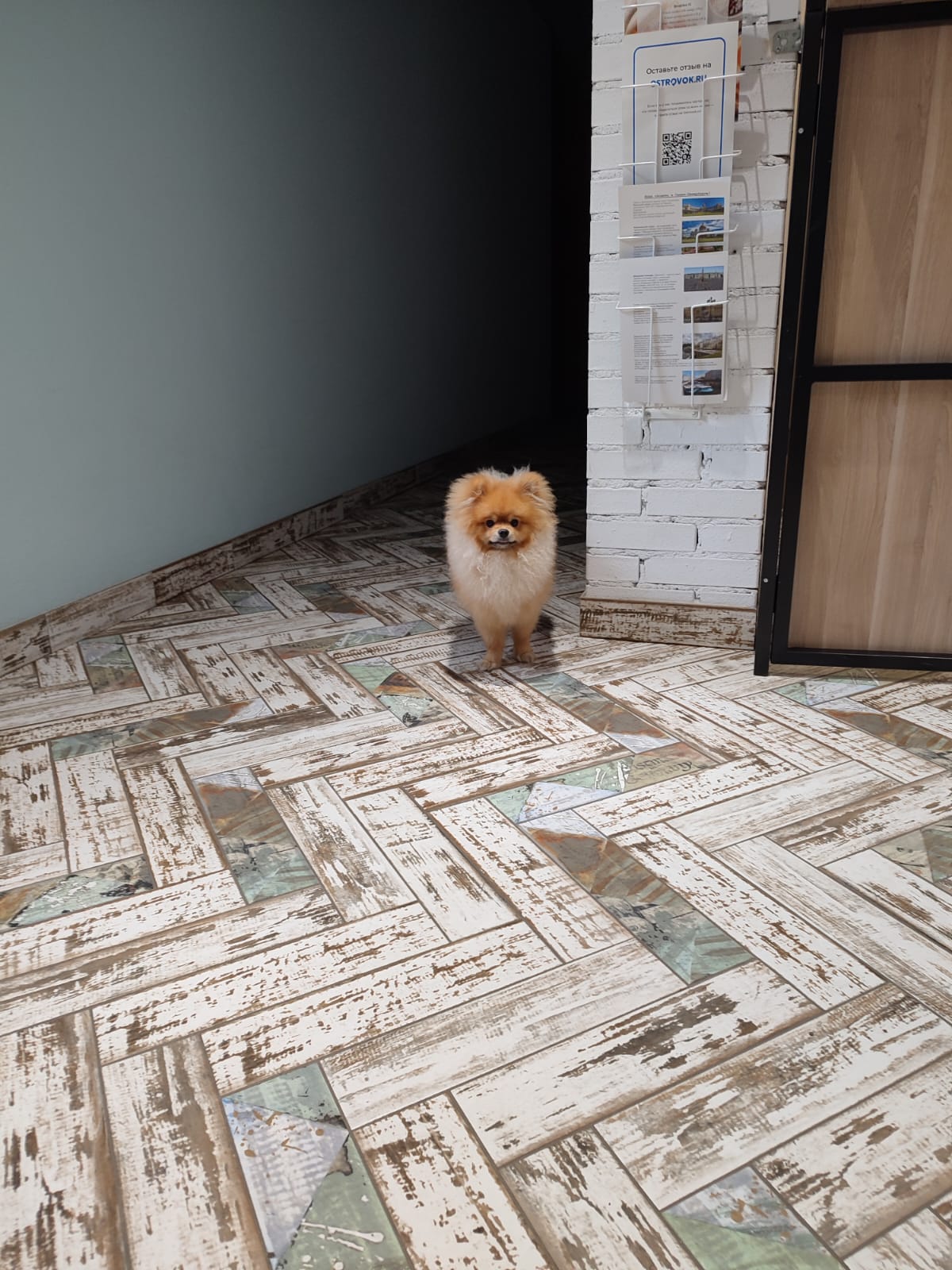 Фото Флигель