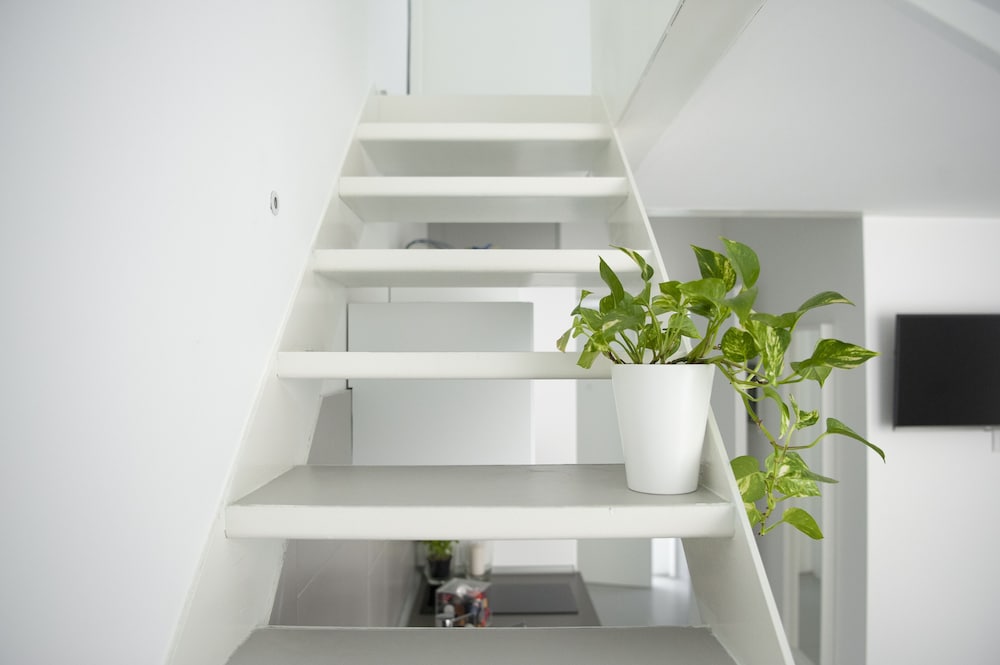 Фото Ortiquattro