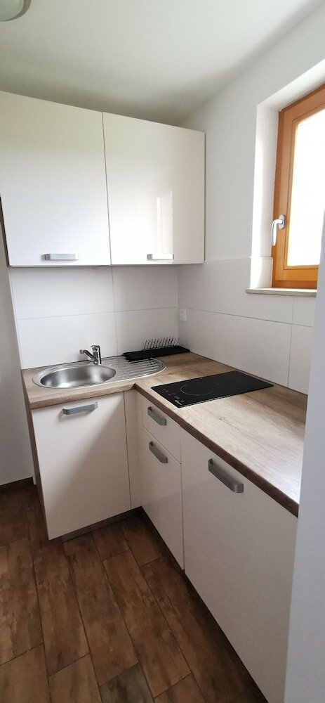 Фото Domovoj Apartments and Rooms