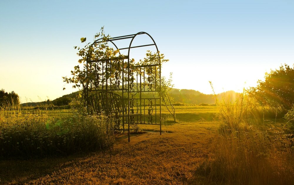 Фото Wandern und Wohlfühlpension Schuasterhof