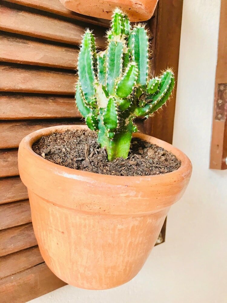 Фото Pousada Ilha do Encanto