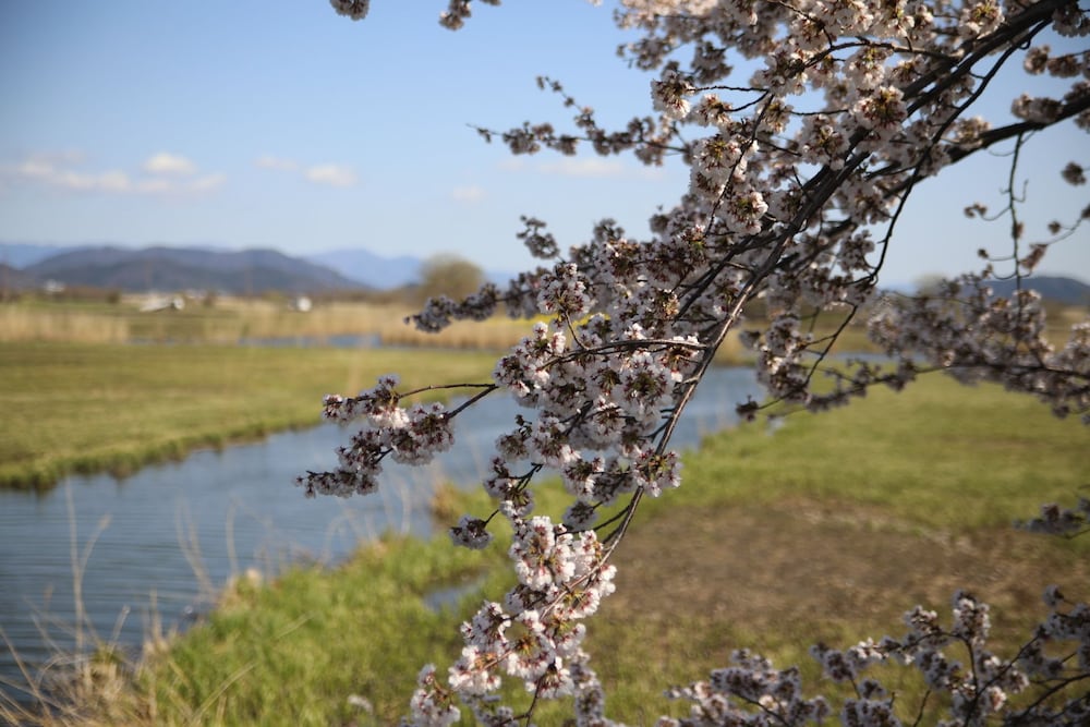 Фото Stay Omihachiman Ekimae Inn