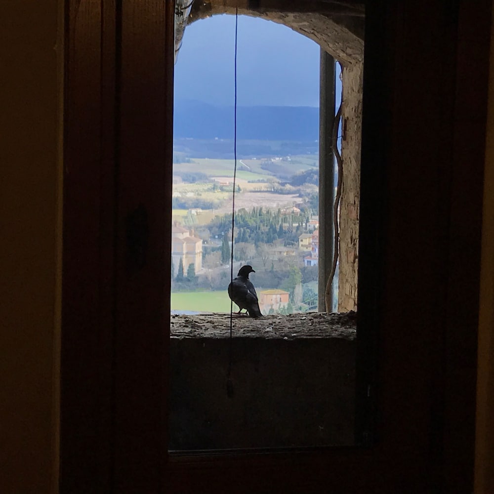 Фото B&b Residenza Teatro Antico