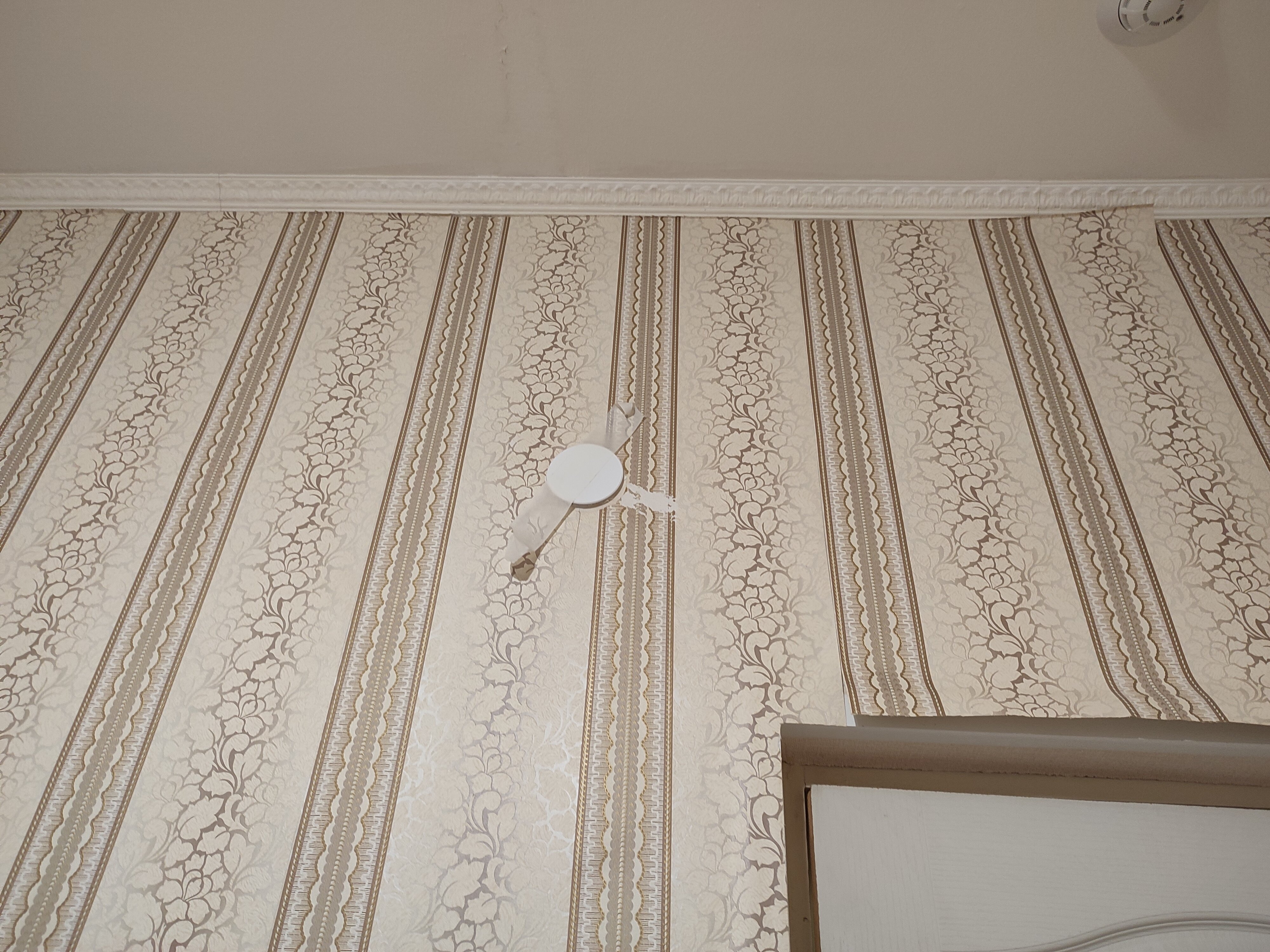 Фото Солнечный