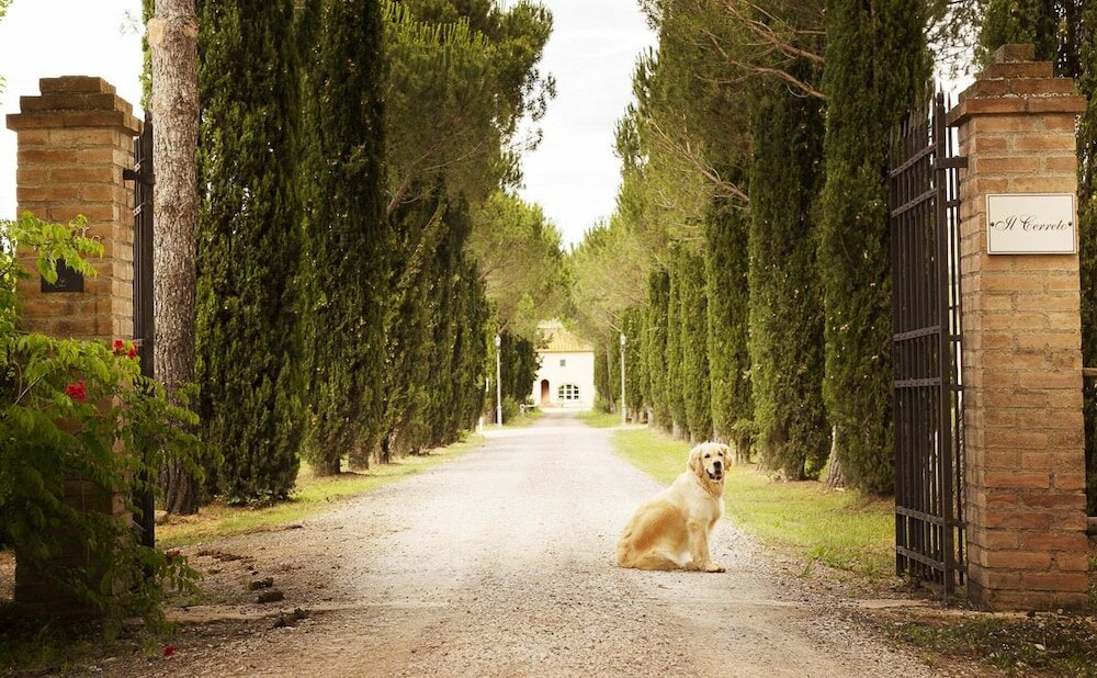 Фото Agriturismo Il Cerreto