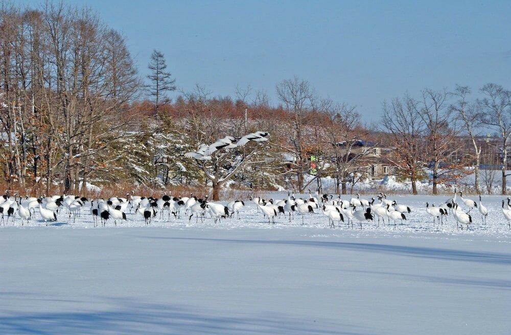 Фото Green Park Tsurui