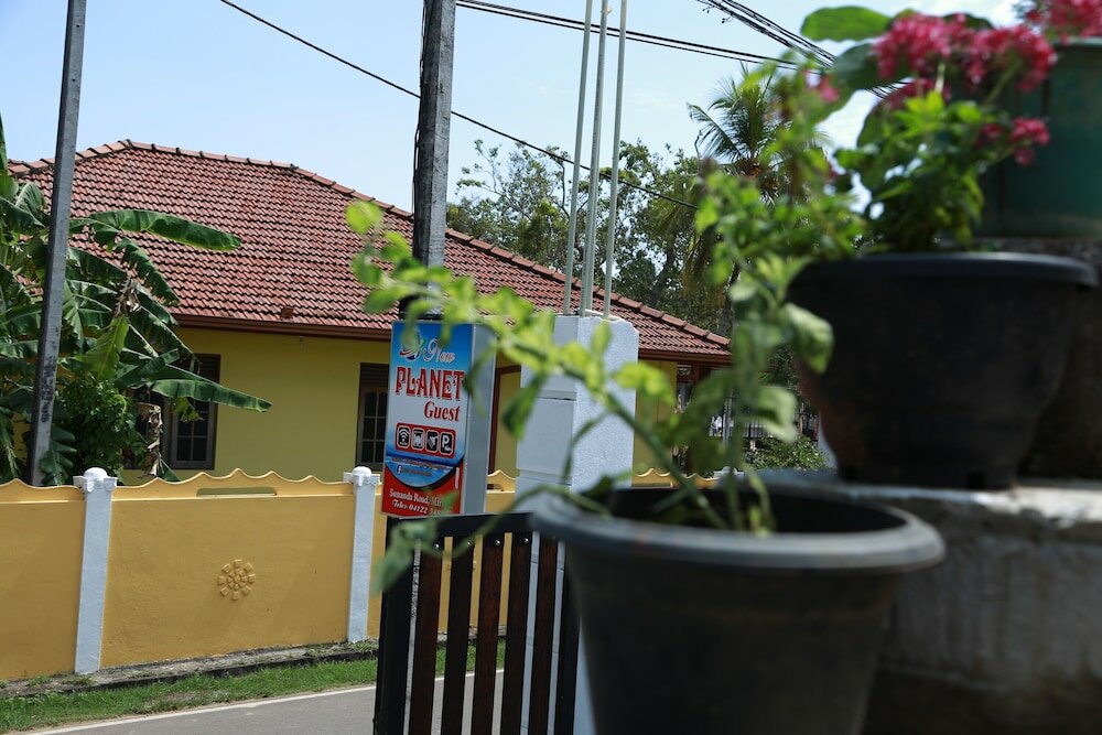 Фото New planet guest