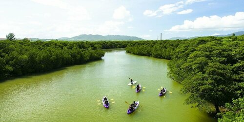 Гостиница Painushima Resort