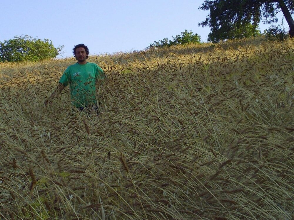 Фото Agriturismo San Pietro