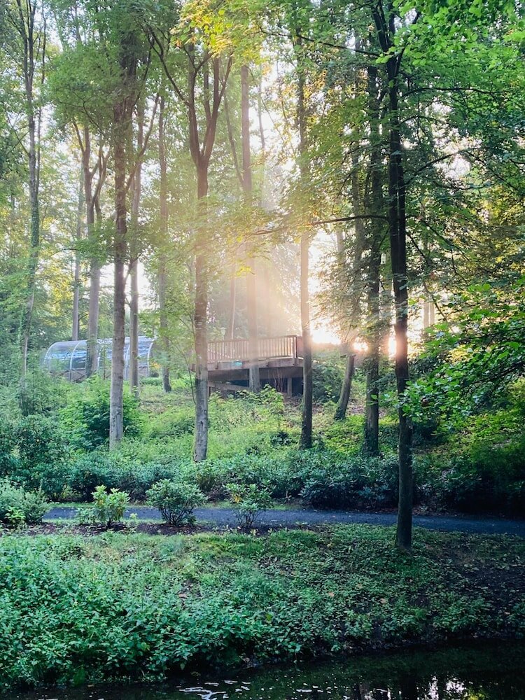 Фото Hotel Im Park