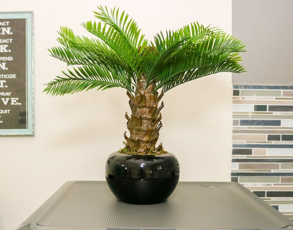 Фото Rh Boutique Hotel Aruba