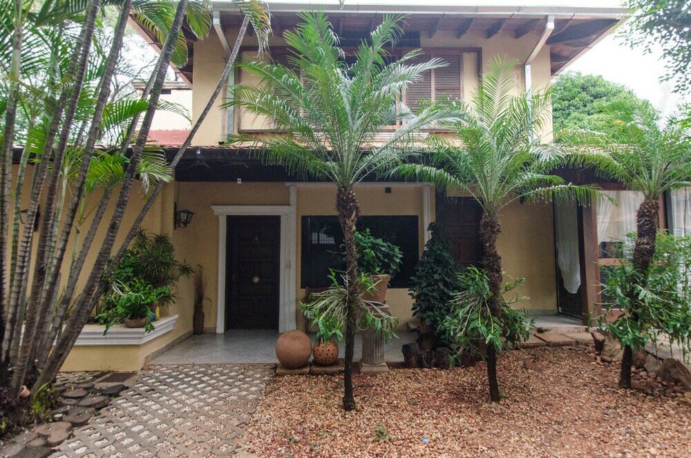 Фото Bright Studio surrounded by trees