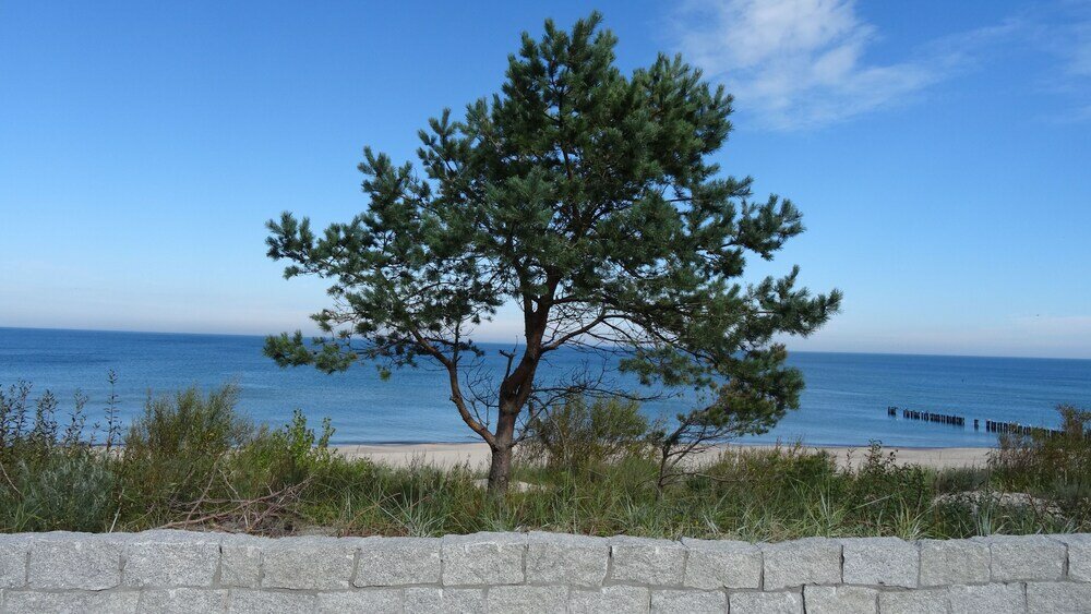 Фото Czar Morza Pokoje Goscinne