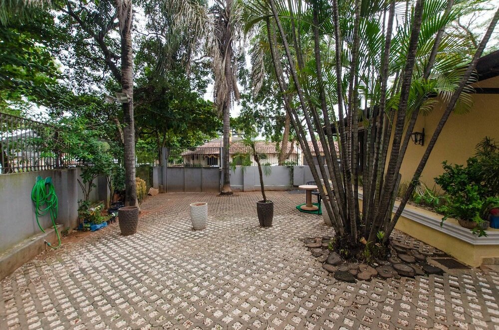 Фото Bright Studio surrounded by trees