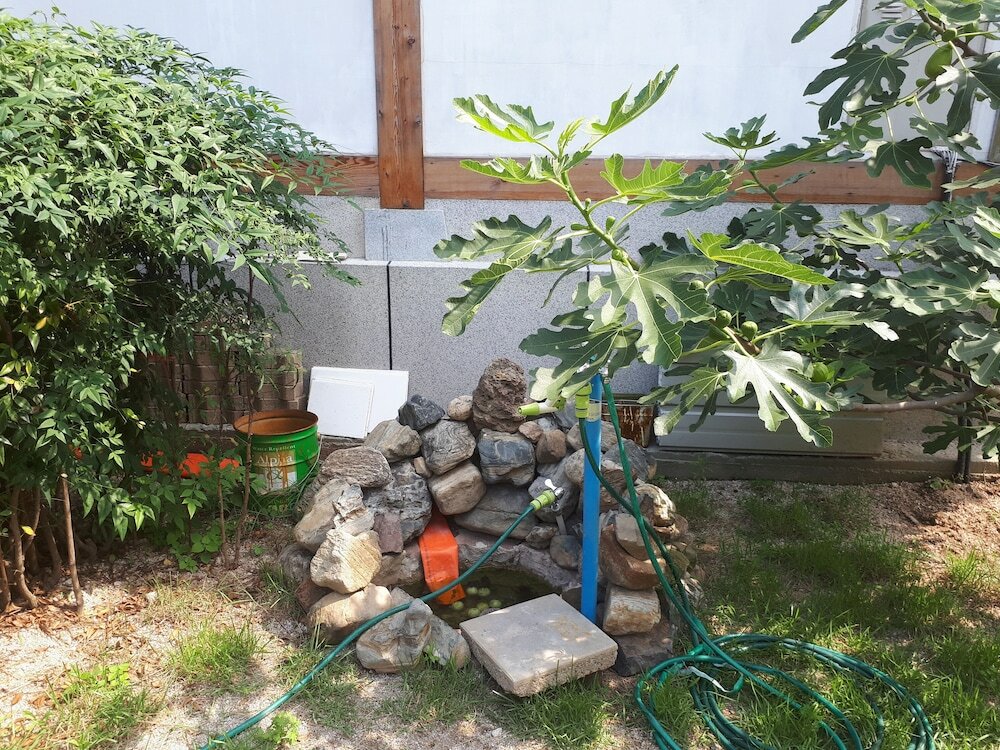 Фото Gyeongju Seorabeol Hanok