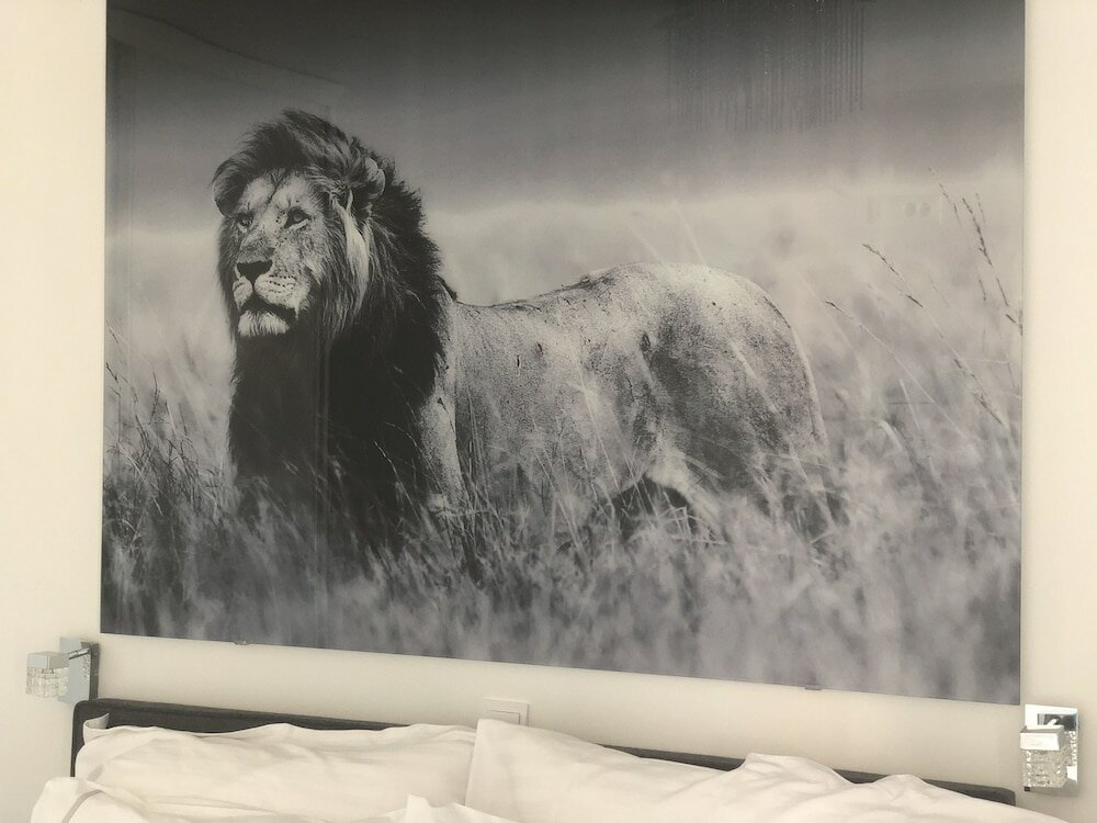 Фото Casa di Lavanda