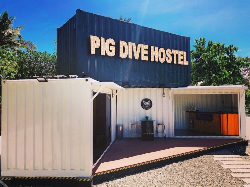 Гостиница Pig Dive Hostel