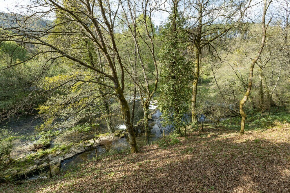 Фото Quinta do Rio Homem