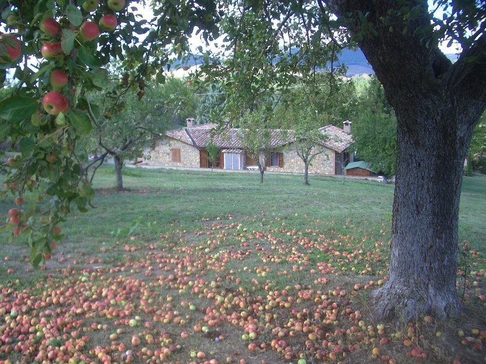 Фото La Collina dei Ciliegi