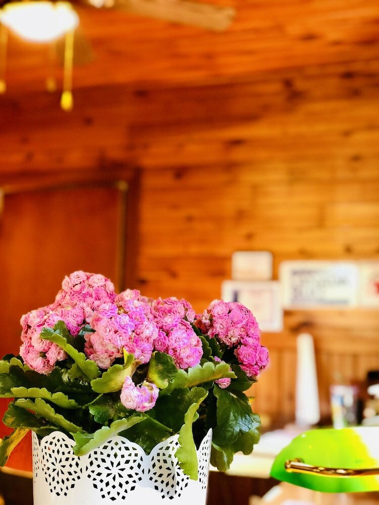 Фото Green Gables Bungalow Court