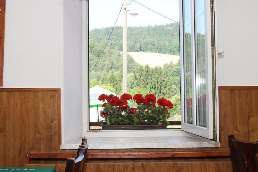 Фото Hotel Pod Jedlovým vrchem