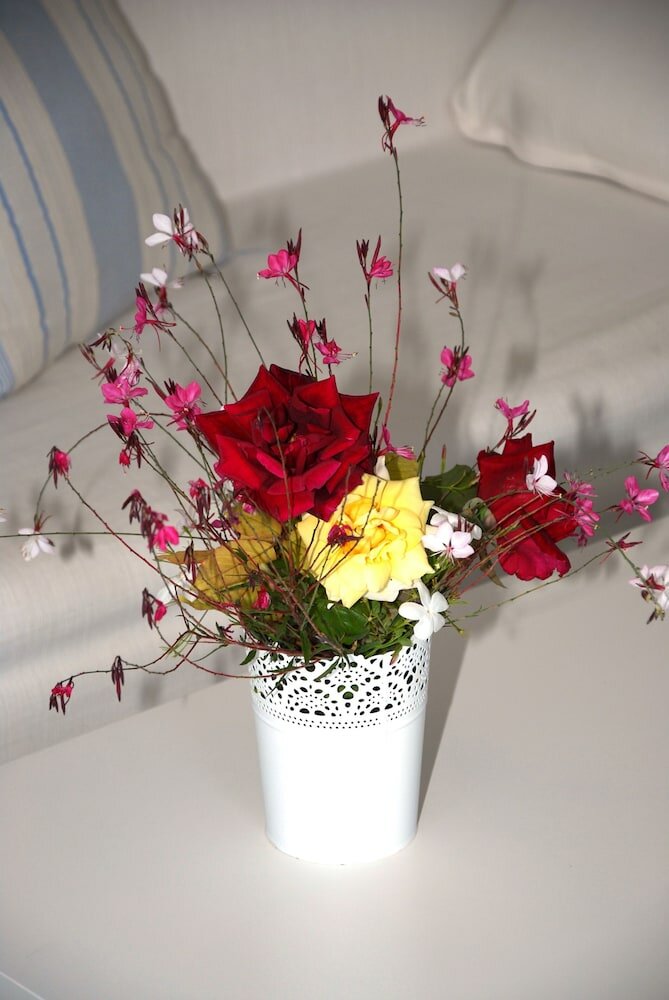 Фото Villa Fleria