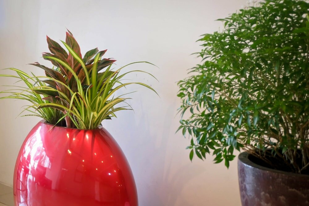 Фото Rainbow Hotel Da Nang