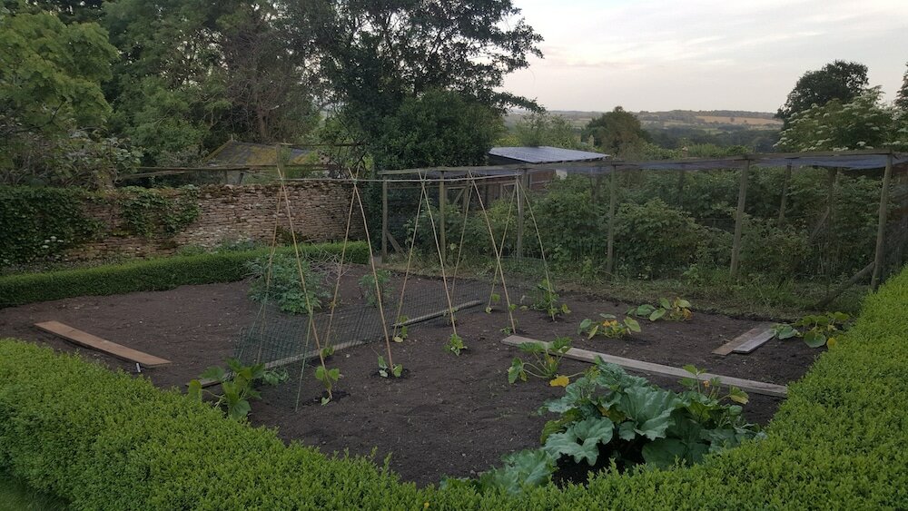 Фото Horse and Groom