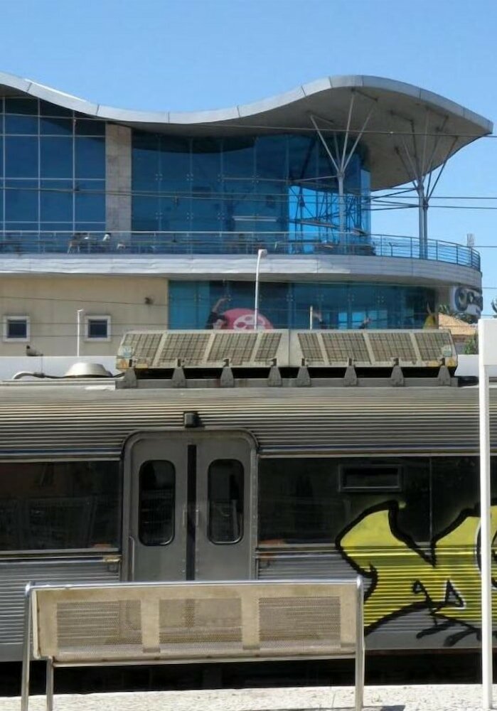 Фото Palm Guesthouse