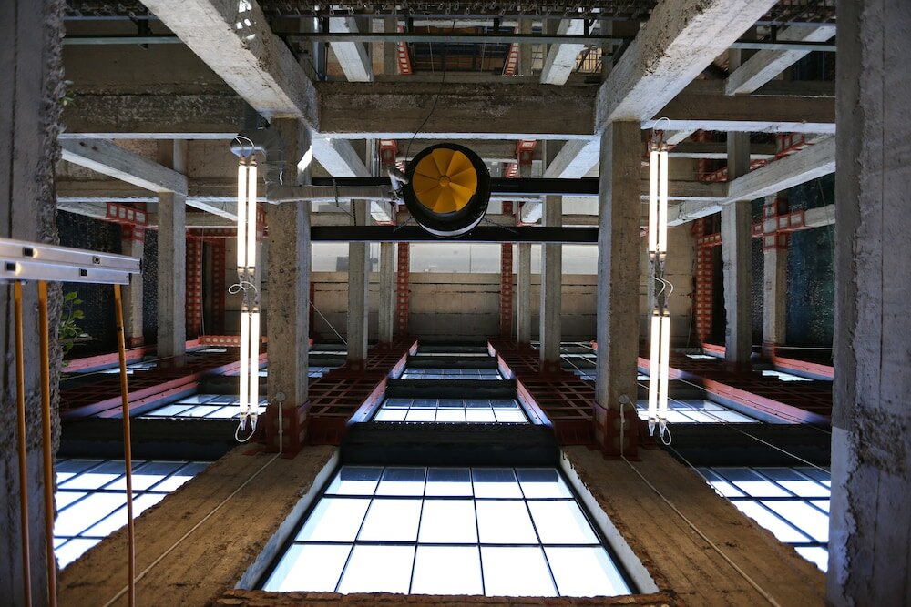 Фото Stamba Hotel