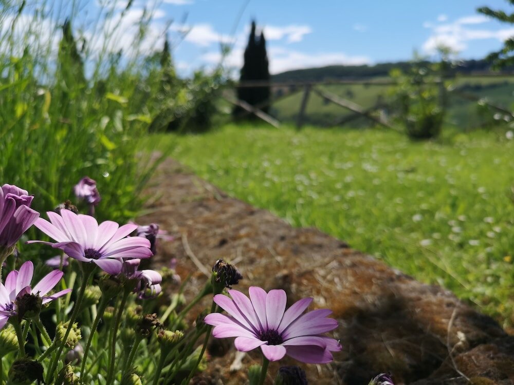 Фото La Casa sul Colle