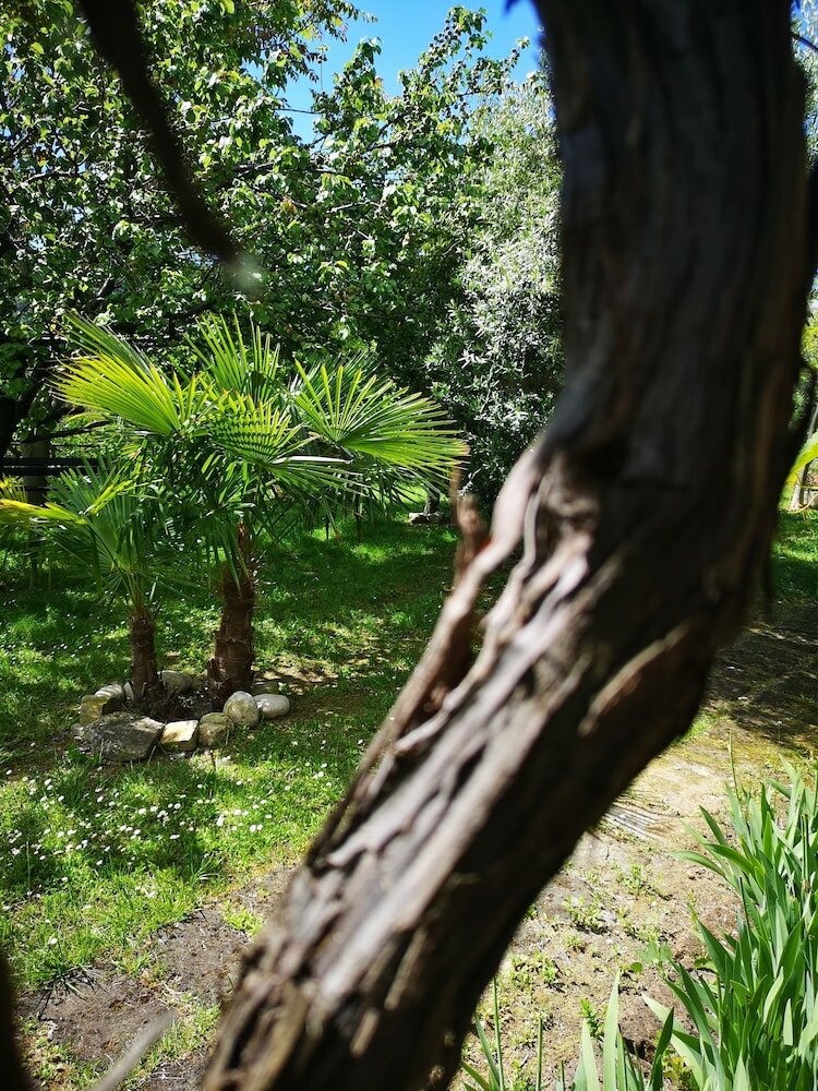 Фото La Casa sul Colle