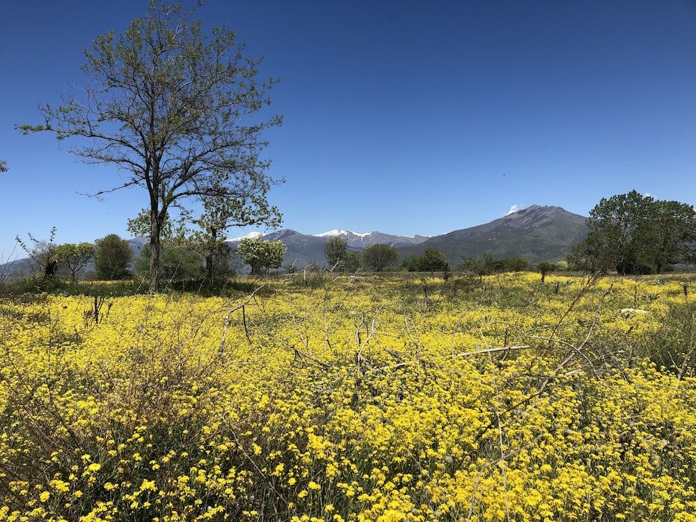 Фото Agios Germanos Traditional Hotel